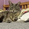 Stella R.